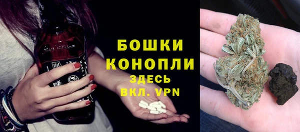 прущий лед Абаза