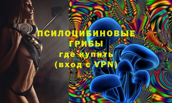 винт Алексеевка