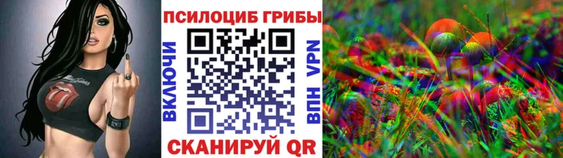 Галлюциногенные грибы GOLDEN TEACHER  где купить наркотик  Зеленогорск 